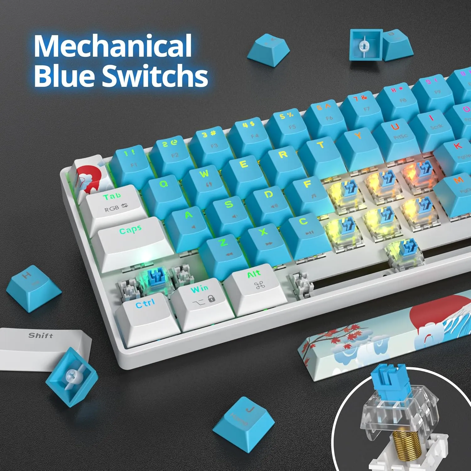 60 Percent Gaming Keyboard Portable 61 Keys Mechanical Keyboard Compact Wired Keyboard RGB Backlit for PC Laptop Gamer(61 Blue/Blue Switch)