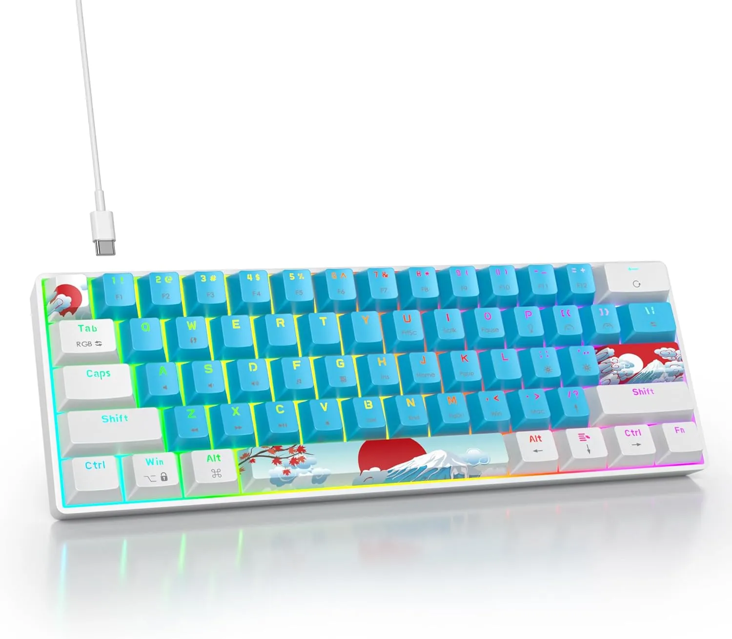 60 Percent Gaming Keyboard Portable 61 Keys Mechanical Keyboard Compact Wired Keyboard RGB Backlit for PC Laptop Gamer(61 Blue/Blue Switch)