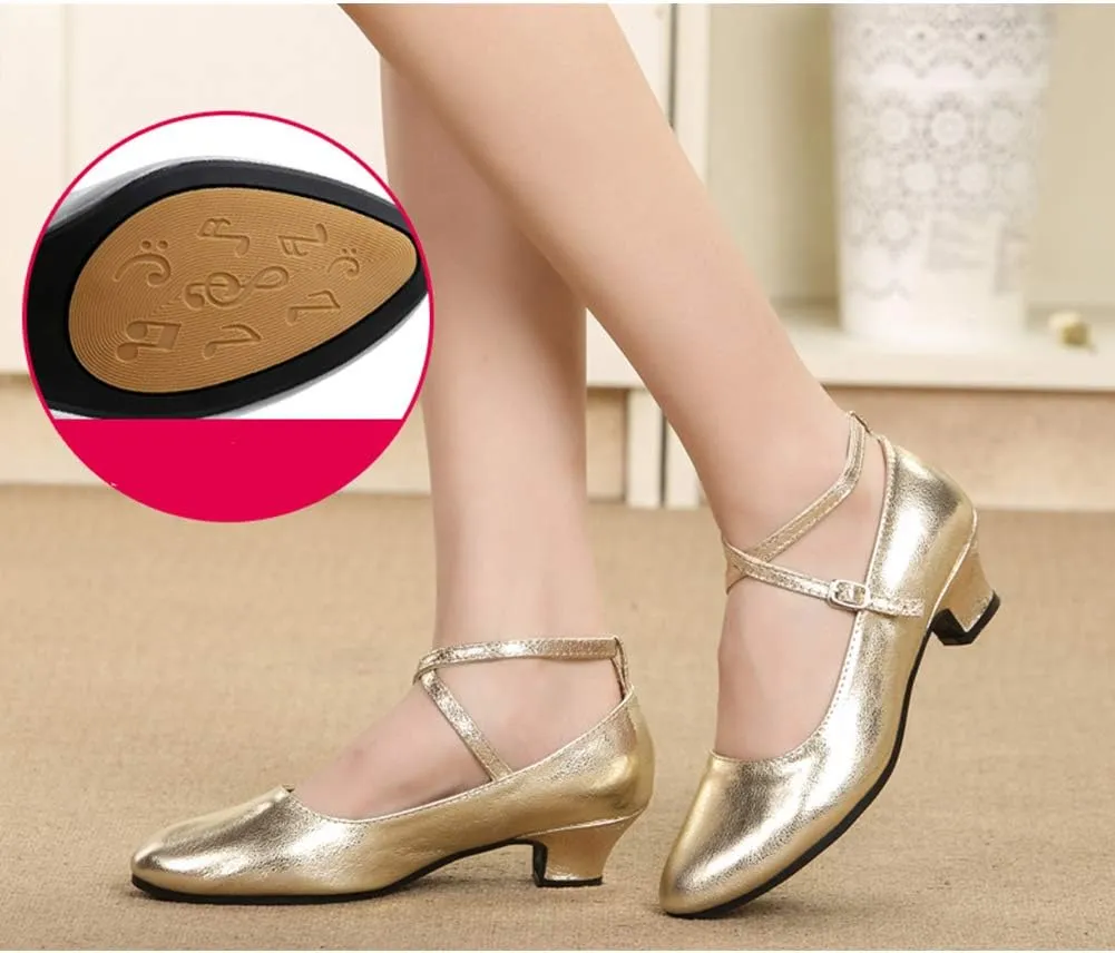 HROYL Women Latin Dance Shoes Ballroom Dance Shoes Performance Practice Salsa Bachata Dancing Shoes,Model DYZPHRD